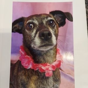 Meet your Posher, Alison